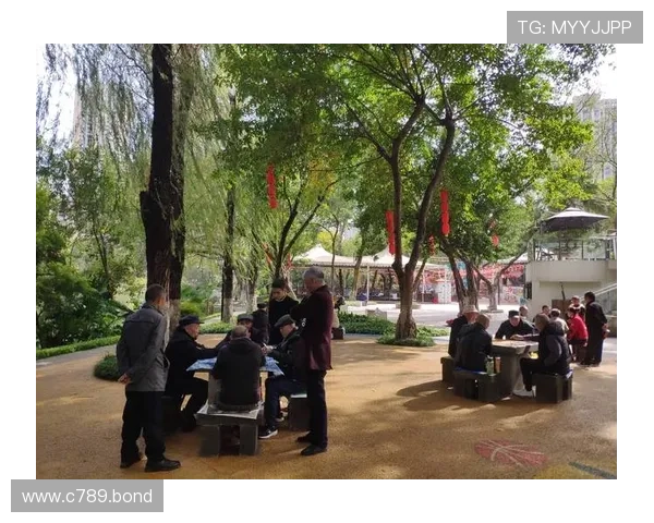 七天娱乐场：畅享多彩娱乐体验的最佳选择